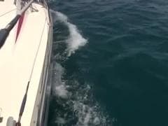 Une ballade en bateau - Tube SEX HD - MESVIP